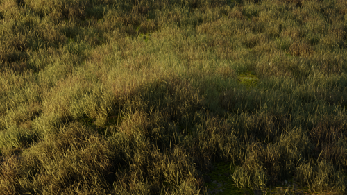Simple Realistic Grass preview image